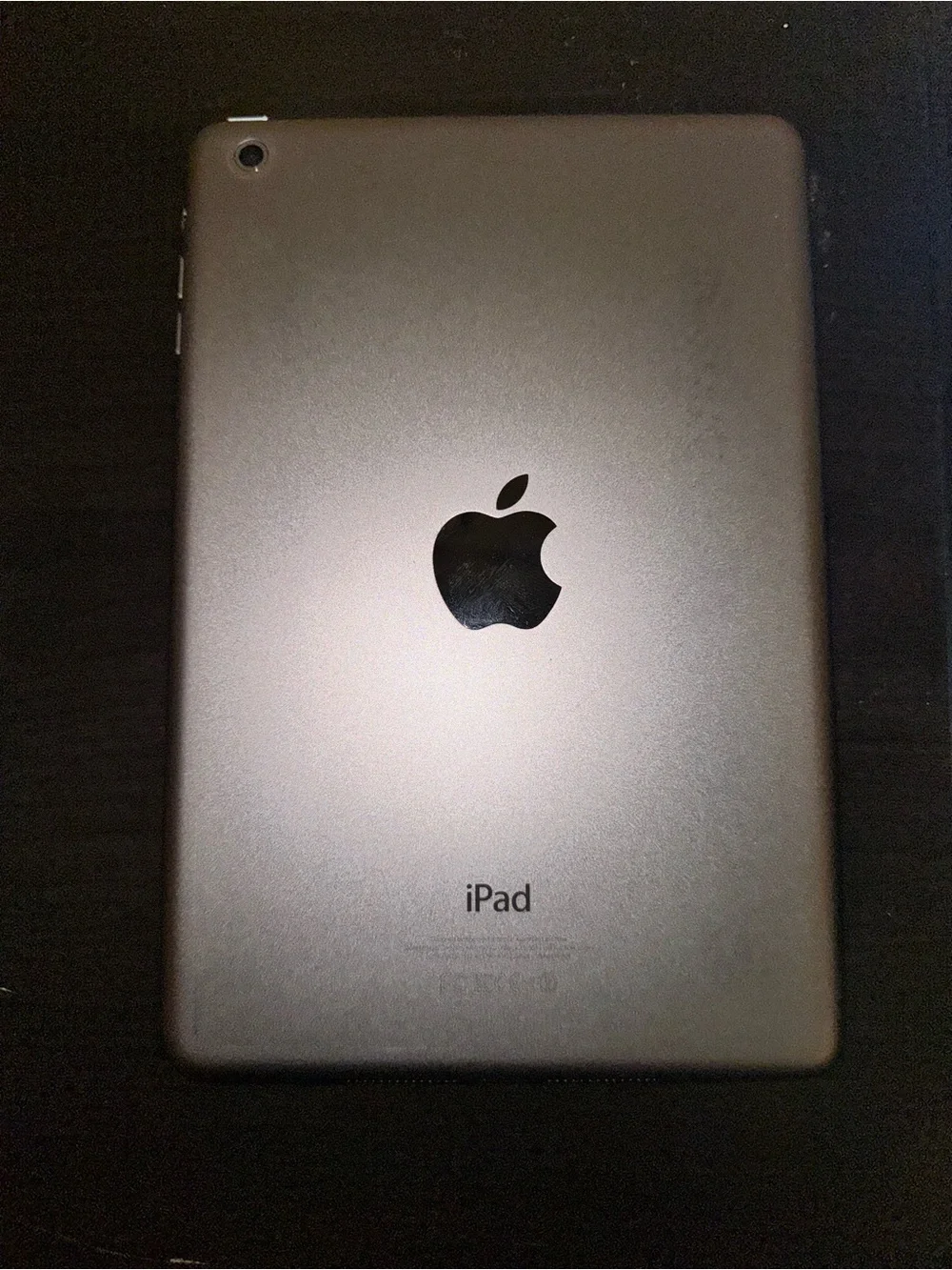 iPad Mini 1st Gen 16GB